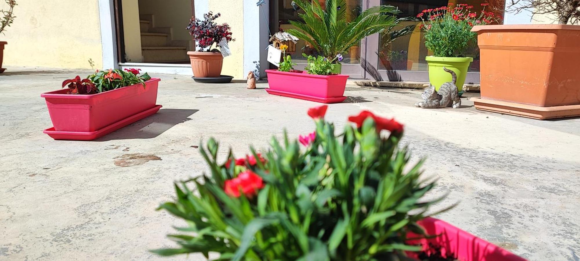 B&B Gioia กาตันซาโร ภายนอก รูปภาพ